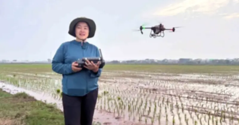 AI và Drone: Vũ khí mới của nữ nông dân Tiền Hải trong cuộc cách mạng số hóa nông nghiệp