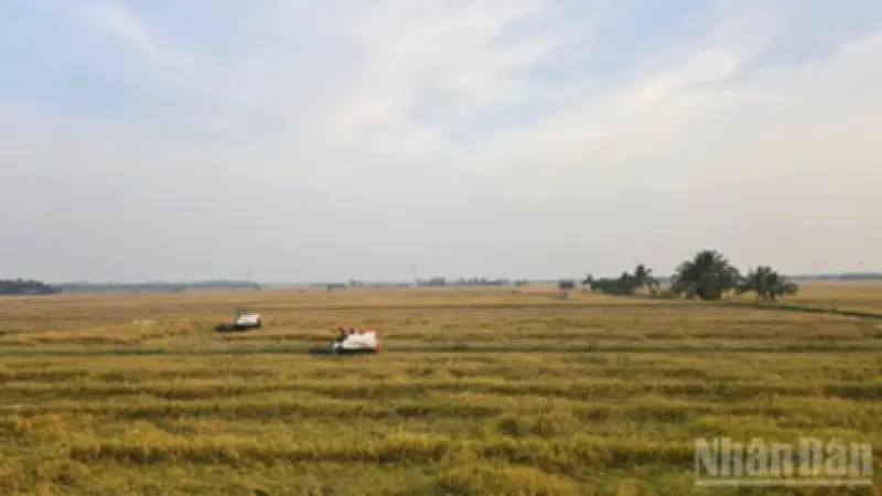 An Giang đặt mục tiêu xây dựng vùng lúa chất lượng cao 354 nghìn ha vào năm 2030