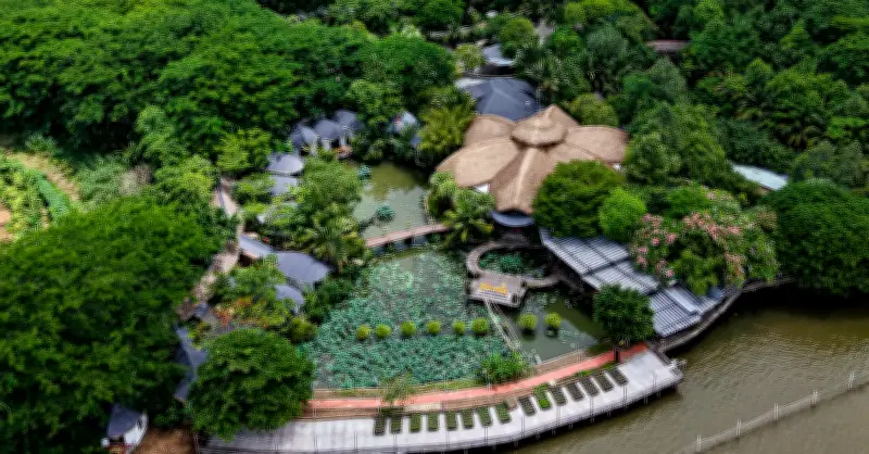 Anh Em Ruột Ở Cần Thơ Mất Đất Thừa Kế 2.400m² Do Không Có Di Chúc