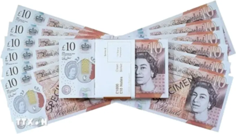 Anh Quốc xem xét in hình động vật thay thế nhân vật lịch sử trên tiền giấy