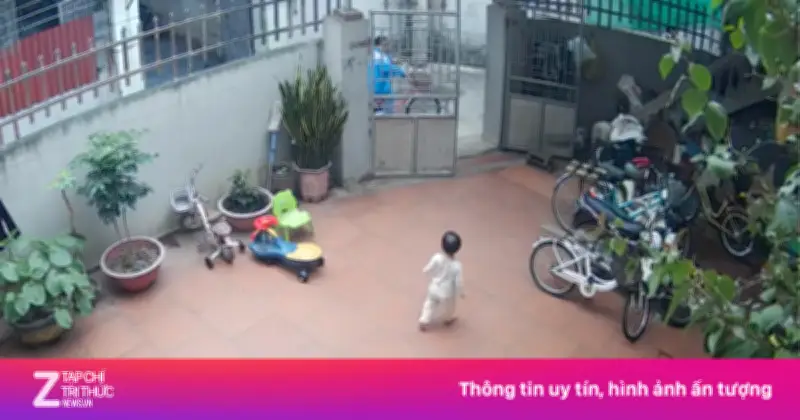 Bé 25 tháng tuổi gây sốt mạng với khả năng tiếp khách và phụ giúp chị gái