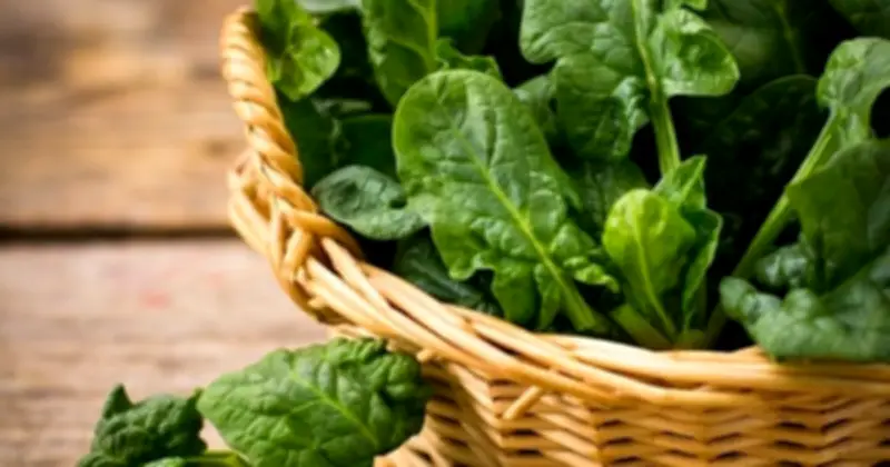 Bộ Ba Rau Xanh 'Làm Sạch' Cơ Thể: Giải Pháp Detox Tự Nhiên Ngay Trong Gian Bếp