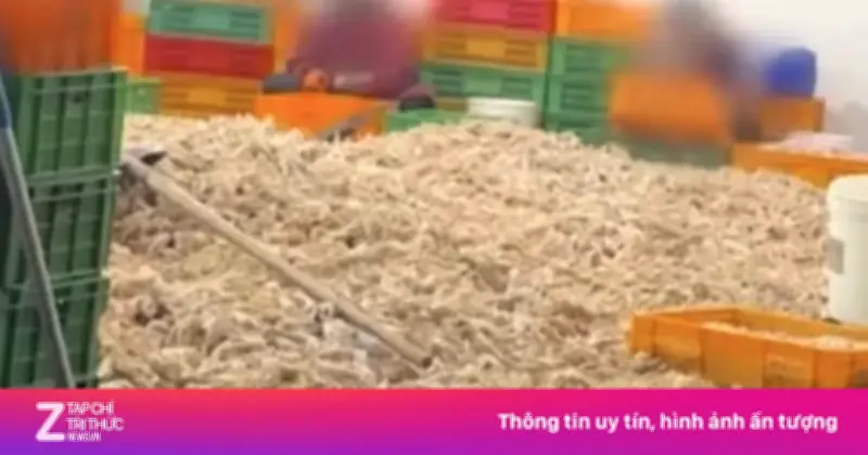 Bê Bối Thực Phẩm Bẩn Rúng Động Trung Quốc: Chân Gà Ngâm Hóa Chất Trong Xưởng Bẩn