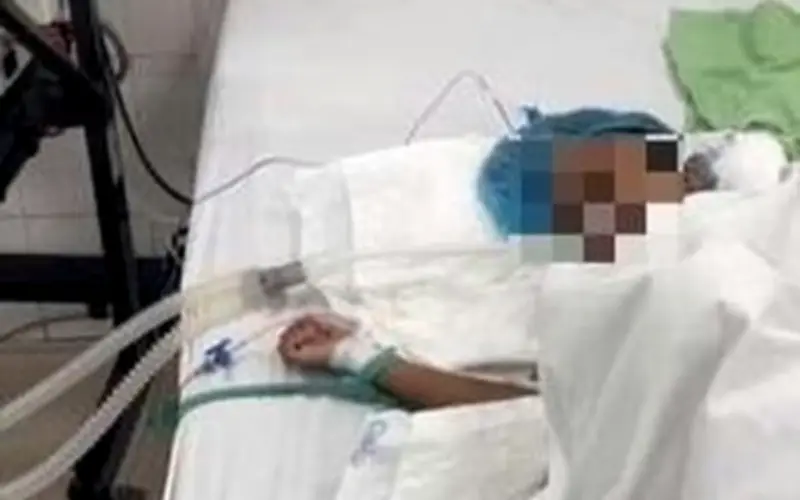 Bé gái 7 tuổi ở Huế thoát chết sau khi bị rắn cạp nia cắn nhờ huyết thanh gửi máy bay