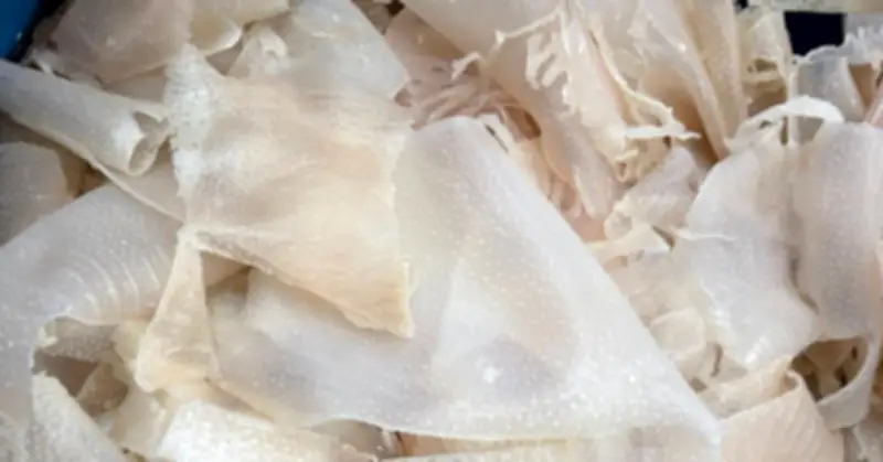 Bí Lô Bò Phần Bị Ghẻ Lạnh Nhưng Là Kho Báu Chống Lão Hóa