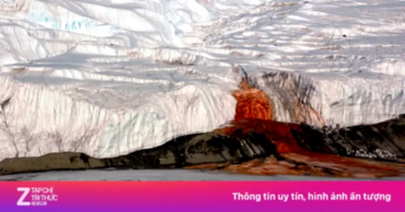 Bí ẩn 'thác máu' ở Nam Cực dần hé lộ: Áp lực sông băng tạo màu đỏ đặc trưng