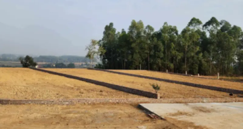 Bộ Nội vụ làm rõ quy định về lối đi để tách thửa đất