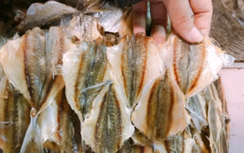 Bí quyết bảo quản cá kho không cần tủ lạnh, ngăn ngừa nấm mốc hiệu quả