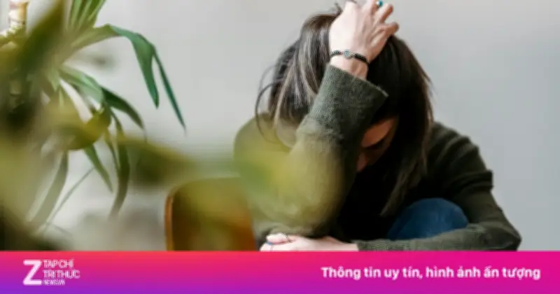 Bộ Sách Của Thích Pháp Hòa: Tìm Lại Bình An Giữa Bộn Bề Tuổi Trung Niên