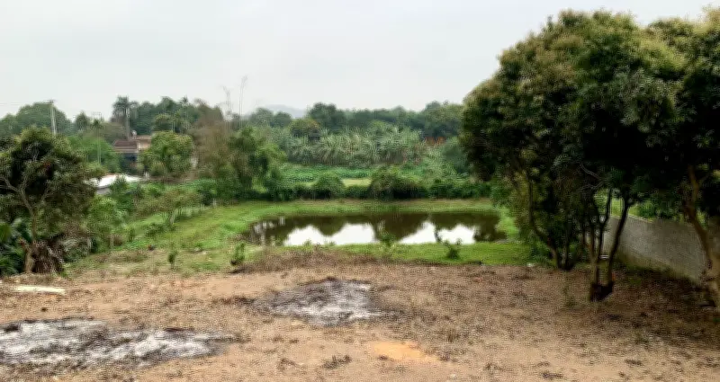 Bộ Tài nguyên giải đáp vụ đất vườn, đất ở một thửa: Có được tách thửa không?