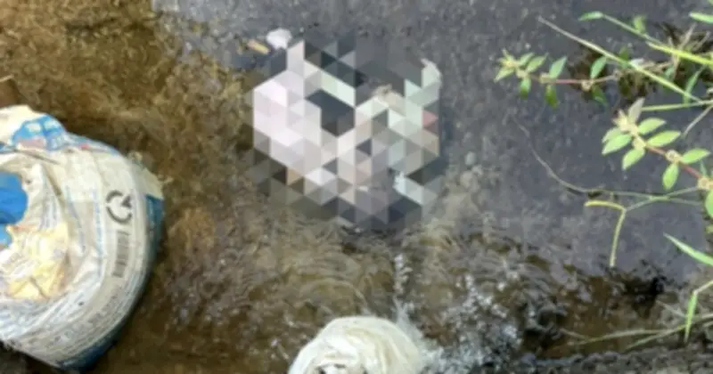 Bé trai sơ sinh bị bỏ rơi cạnh mương nước ở TPHCM, cơ quan chức năng vào cuộc điều tra