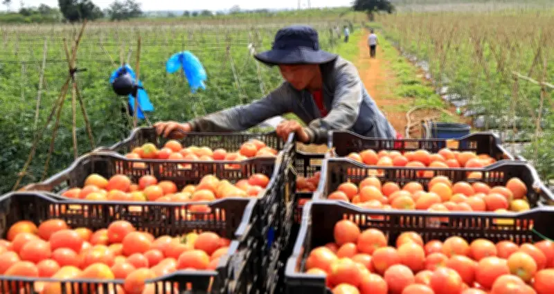 Bộ trưởng kêu gọi doanh nghiệp giảm giá hàng hóa, chia sẻ khó khăn với nông dân