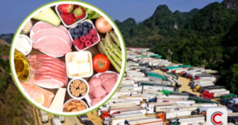 Bộ Y tế hướng dẫn chi tiết quy trình đăng ký và công bố sản phẩm thực phẩm