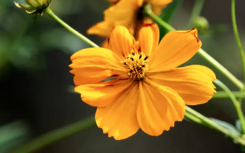 Ba Khung Giờ Sinh Giàu: Muốn Càng Qua Tuổi 40 Càng Nhiều Tiền