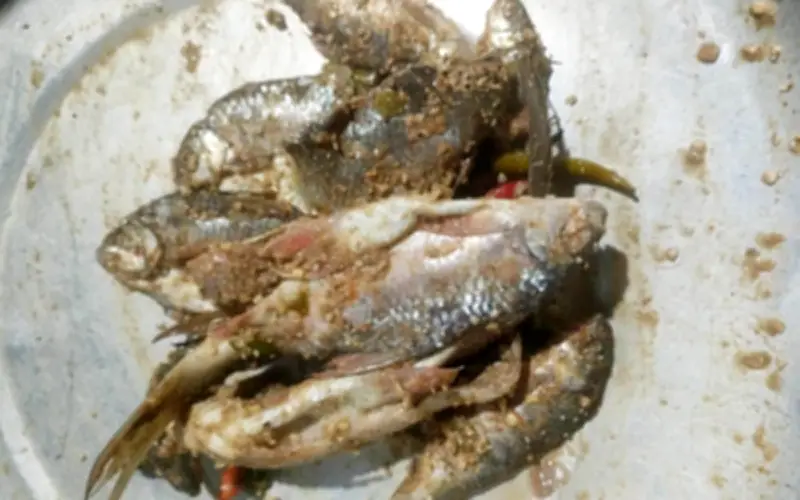 Ba Trẻ Em Đà Nẵng Ngộ Độc Botulinum Sau Khi Ăn Cá Ủ Chua, Một Ca Nguy Kịch