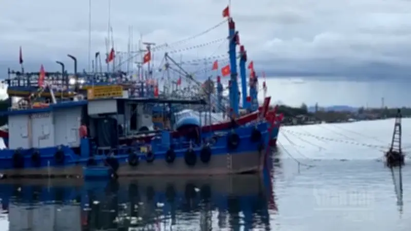 Bắc Bộ mưa phùn, biển nhiều nơi gió mạnh trong ngày 15/3