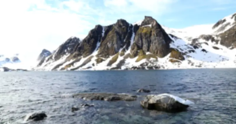 Bắc Cực Nóng Lên Kỷ Lục: Mùa Đông Biến Mất Và Cảnh Báo Thảm Họa 2026