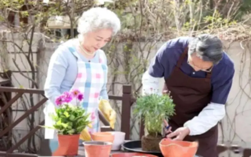 Bước vào tuổi 70 mà sở hữu 4 điều này, bạn chính là người già hạnh phúc nhất thế gian