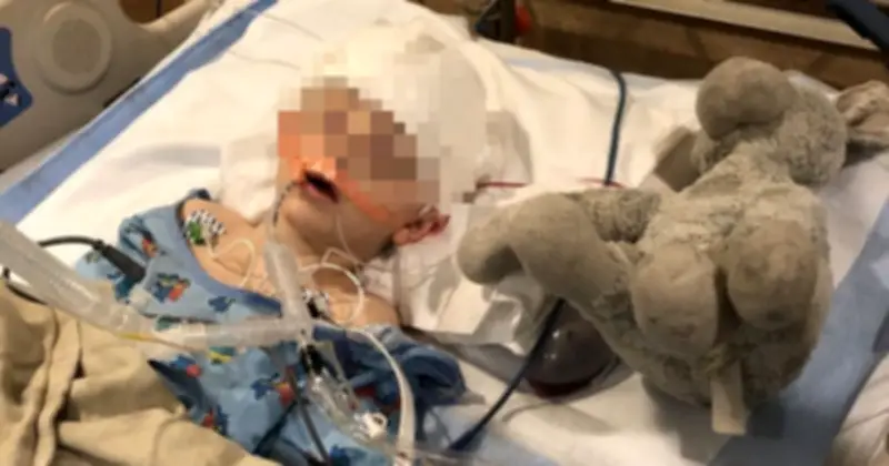 Bạch Cầu Ở Trẻ Em: Cảnh Báo 4 Vật Dụng Gia Đình Tiềm Ẩn Nguy Cơ Ung Thư