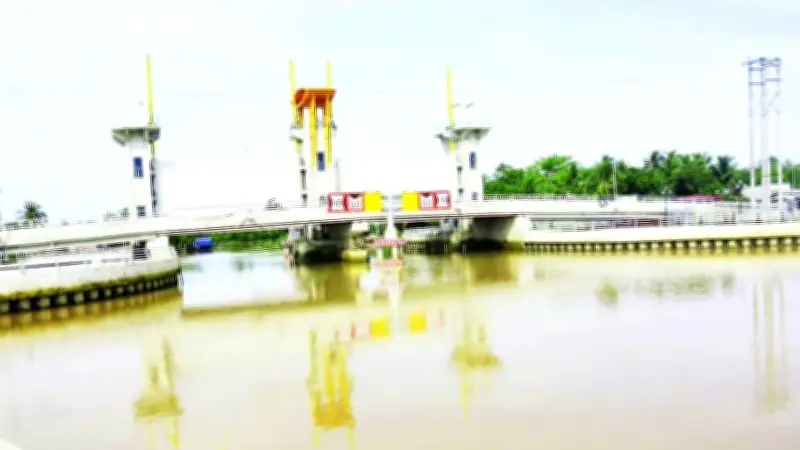 Bài học xương máu từ hạn mặn lịch sử: Người dân Bến Tre chủ động ứng phó