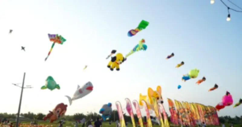 Bãi thả diều khổng lồ ở Vĩnh Long thu hút đông đảo người dân và du khách