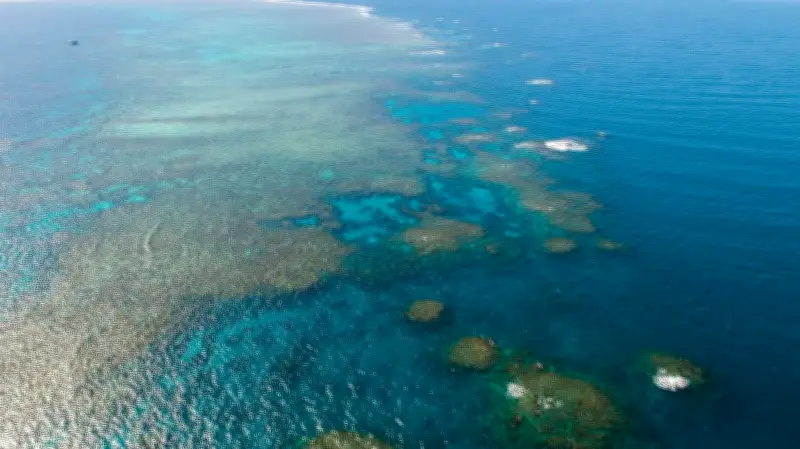 Biến đổi khí hậu gây tác động nghiêm trọng trên diện rộng tại Australia