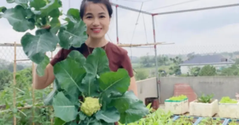 Biến Sân Thượng Thành Vườn Rau Theo Mùa: Trải Nghiệm Xanh Giữa Lòng Đô Thị