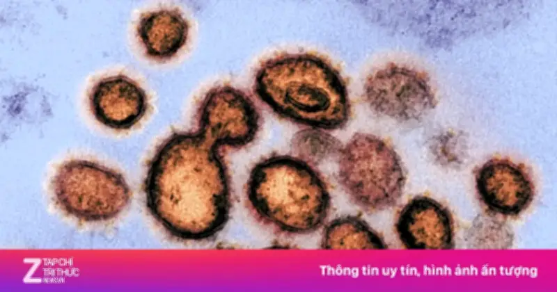 Biến Thể Covid-19 'Ve Sầu' BA.3.2: Nguy Cơ Né Miễn Dịch Và Cảnh Báo Từ Bộ Y Tế