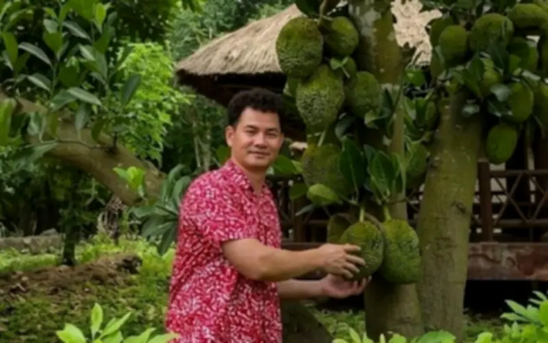 Biệt phủ đáng mơ ước của danh hài Xuân Bắc: Vườn cây, hồ cá Koi và kiến trúc thuần Việt