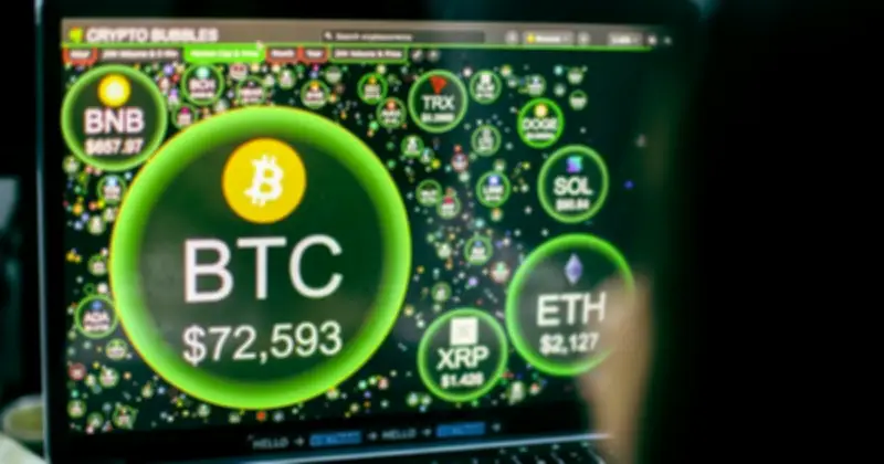 Bitcoin Bứt Phá Lên 74.000 USD, Kéo Thị Trường Tiền Mã Hóa Phục Hồi Mạnh