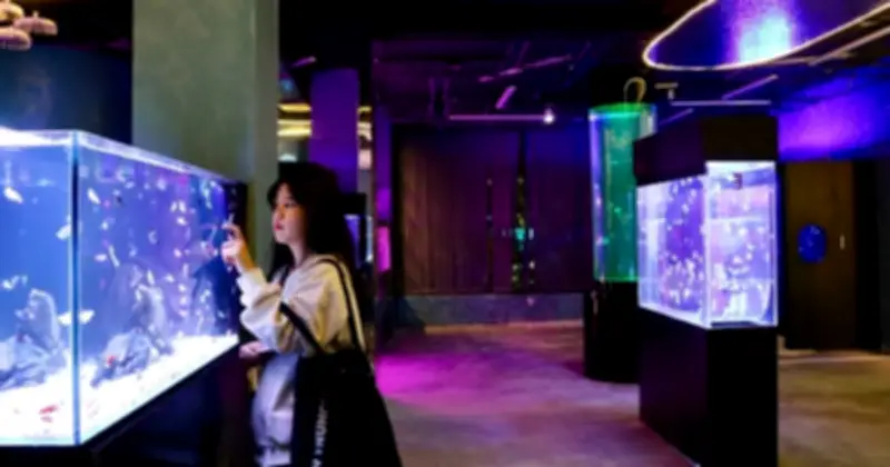 Bạn bè dần ít đi: Hiện tượng phổ biến của người trẻ khi trưởng thành