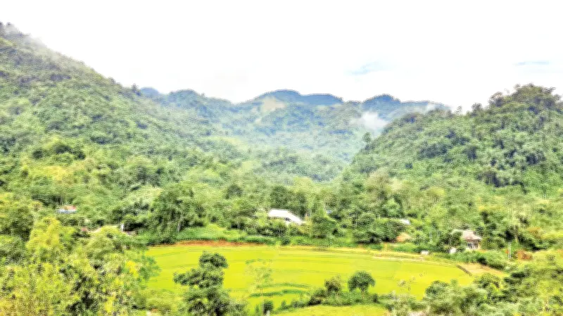 Bản Bướt Giữ Rừng, Nuôi Suối: Hương Ước Bảo Vệ Thiên Nhiên Làm Nên Di Sản