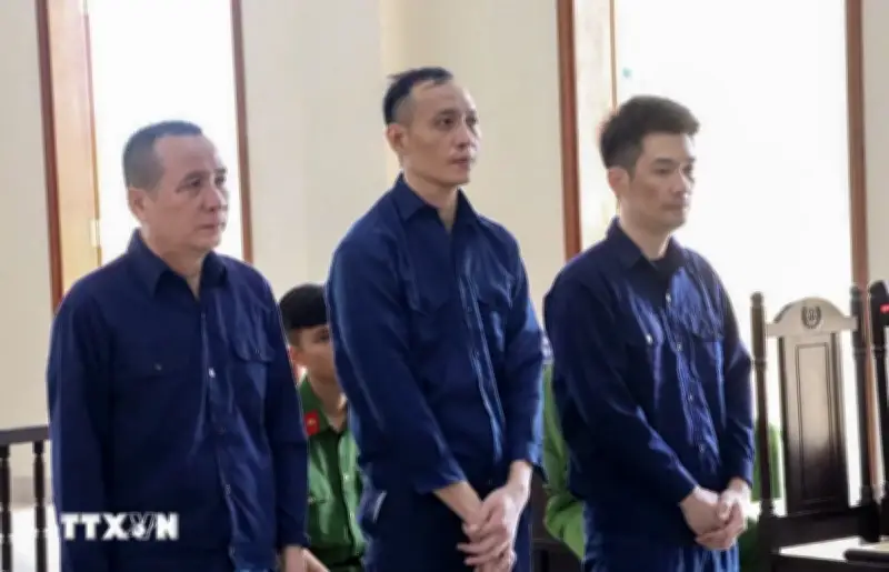 Bốn Cựu Cán Bộ Công Ty Xây Dựng Hạ Tầng Khu Công Nghiệp Cần Thơ Lĩnh Án