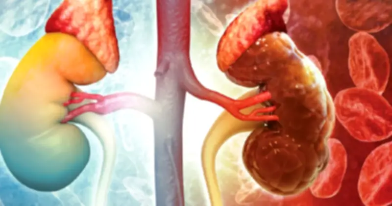 Bệnh thận mạn tính tăng gấp đôi tại Anh, cảnh báo nguy cơ từ thuốc giảm đau