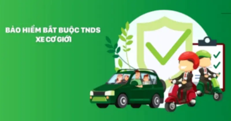 Bảo Hiểm Bắt Buộc TNDS: Chìa Khóa An Toàn Giao Thông Từ Singapore Đến Việt Nam