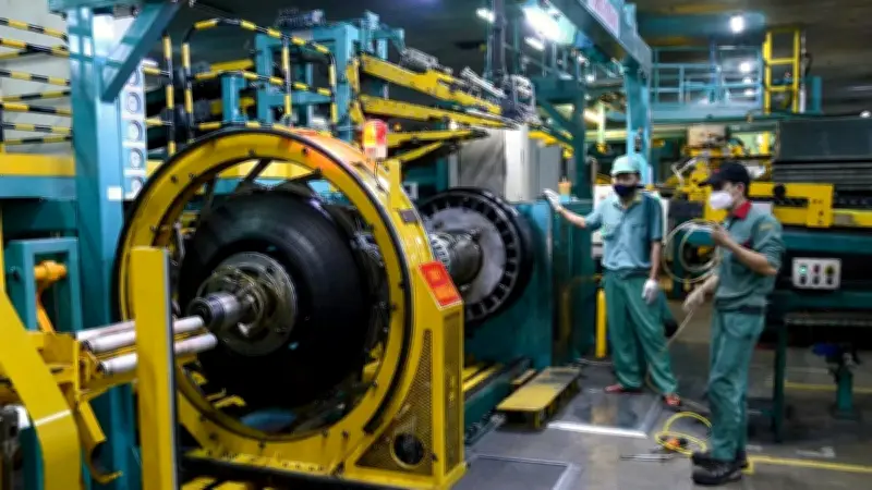 Bảo hiểm xã hội Việt Nam đạt 21,56 triệu người tham gia, chi trả kịp thời dịp Tết