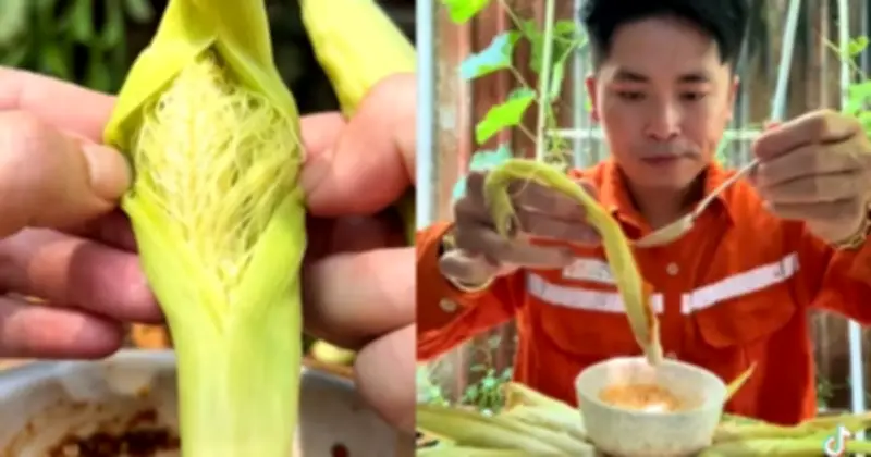 Bắp Bao Tử - Món Ăn Gây Sốt Mạng Xã Hội Với Cách Thưởng Thức Lạ Mắt