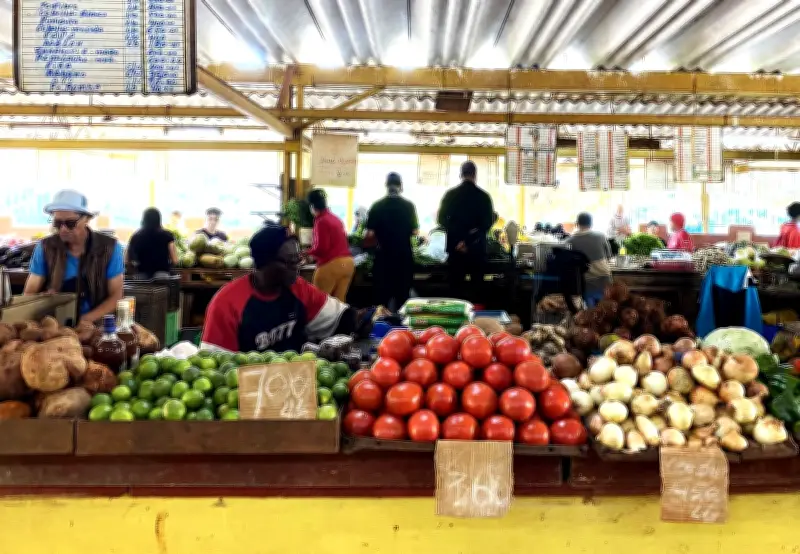 Brazil Gửi 21.000 Tấn Lương Thực Và Vật Tư Y Tế Hỗ Trợ Cuba