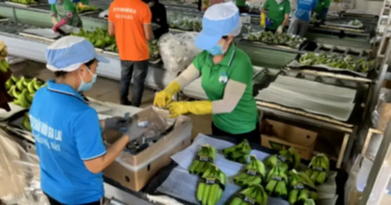 Bầu Đức chi hơn 60 tỷ đồng mua cổ phiếu HAG, tăng tỷ lệ sở hữu lên 24,77%