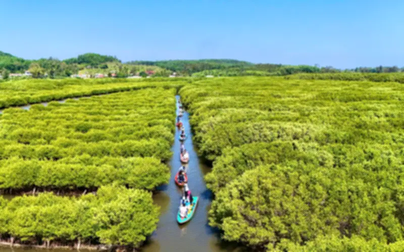 Bàu Cá Cái - 'Miền Tây thu nhỏ' giữa lòng Khu kinh tế Dung Quất