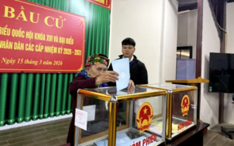 Bầu Cử Diễn Ra Khẩn Trương: Hơn 80% Cử Tri Cả Nước Đã Tham Gia Bỏ Phiếu