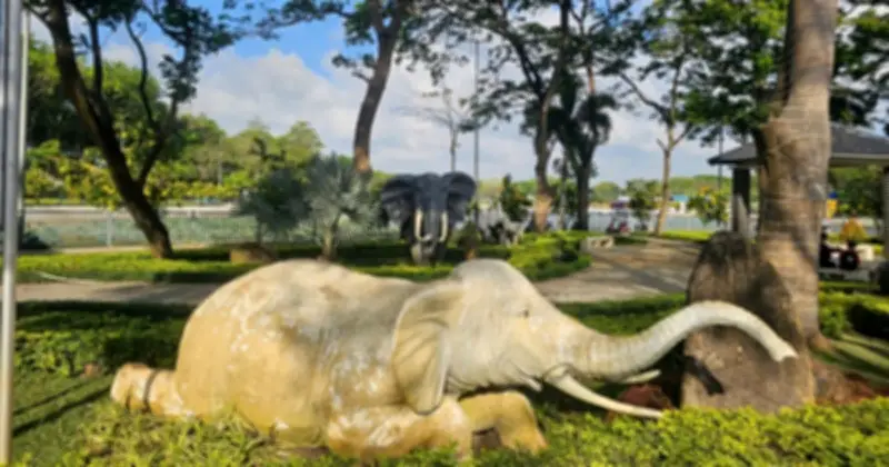 Bàu Thành - Di Tích Cổ Xưa Nhất Nam Bộ Và Nơi Huấn Luyện Voi Chiến