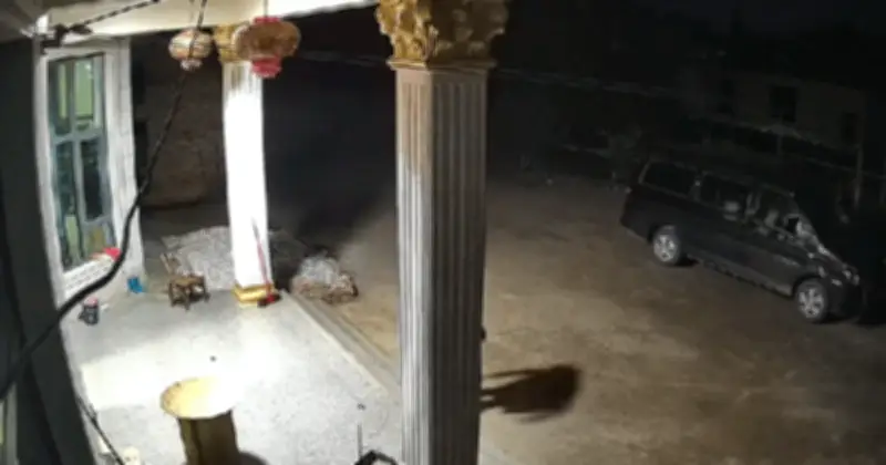 Cô bé 17 tháng tuổi chạy bò xuống thềm cứu ông ngã, bài học về lòng hiếu thảo lay động triệu trái tim