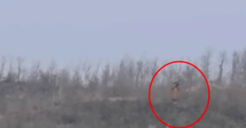 Cô gái ngồi máy bay thấy mẹ đứng trên núi, chạy về nhà khóc nghẹn