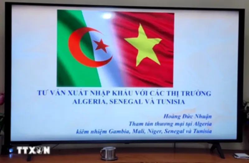 Cơ hội vàng cho doanh nghiệp Việt Nam đẩy mạnh xuất khẩu sang thị trường châu Phi