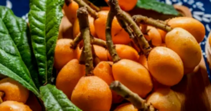 Cổ Họng Khó Chịu Mùa Xuân: 4 Loại Trái Cây Giúp Làm Dịu Và Giảm Đờm Hiệu Quả