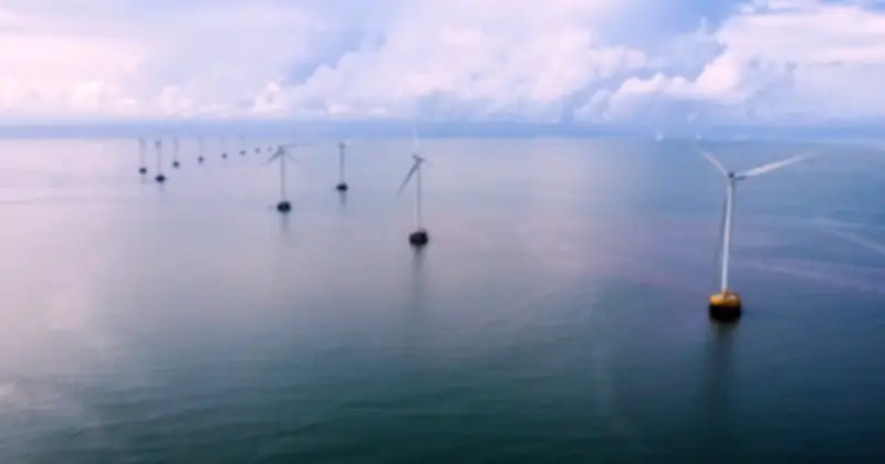 Cà Mau bàn hợp tác với Vingroup đầu tư loạt dự án điện gió trọng điểm