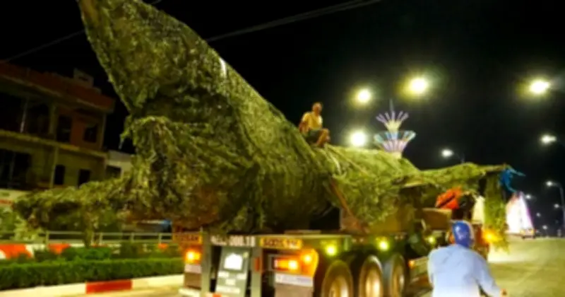 Cà Mau di dời máy bay MiG-21 trong đêm để tránh ùn tắc và bảo tồn hiện vật lịch sử