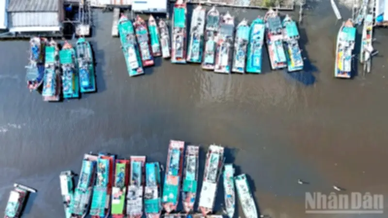 Cà Mau: Hàng trăm tàu cá nằm bờ vì giá nhiên liệu tăng cao, ngư dân lao đao