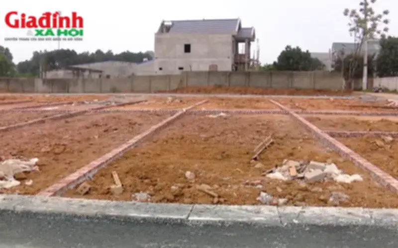 Cà Mau: Quy định diện tích tối thiểu tách thửa đất từ năm 2026